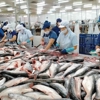 Vietnam's seafood exports hit $5.2 billion in H1