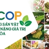Over 150 businesses to showcase OCOP products at Vietnam Ocopex