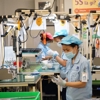 Thanh Hóa giải quyết việc làm cho hơn 36.000 lao động trong 7 tháng