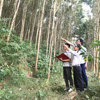 Liên kết trồng rừng bền vững: Chủ động nguồn gỗ nguyên liệu