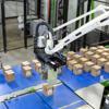 Cận cảnh robot làm việc tại các kho hàng tiên tiến trên thế giới