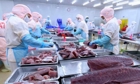 “Chạy đua” với thuế đối ứng, xuất khẩu thủy sản tăng hơn 17%