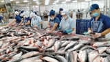 Xuất khẩu thuỷ sản sang Mỹ suy giảm mạnh trong tháng 6/2025