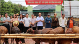 Hà Tĩnh: Giảm nghèo bền vững, sớm về đích xoá nhà tạm, nhà dột nát
