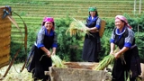 Phân quyền cho chính quyền cấp xã: Tăng hiệu lực trong giảm nghèo, xây dựng nông thôn mới