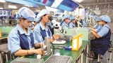 Hợp tác, kết nối đưa công nghiệp hỗ trợ Việt Nam ra khỏi vùng “khiêm tốn”