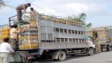 Đổi mới thủ tục kiểm dịch để thuận tiện cho buôn bán, vận chuyển vật nuôi và sản phẩm chăn nuôi