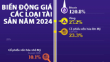 Biến động giá các loại tài sản trong năm 2024