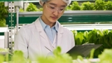 Học bổng khối ngành STEM - trao quyền cho phụ nữ để dẫn đầu trong lĩnh vực STEM