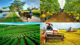 Nguyên nhân của việc chậm giải ngân vốn Chương trình Mục tiêu quốc gia giảm nghèo 