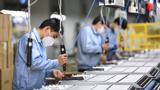 Cần chính sách hỗ trợ, quy định đào tạo kỹ năng số cho người lao động 