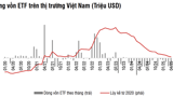 Sau một thời gian rút ròng liên tiếp, tổng tài sản các ETF giảm gần một nửa còn 50 nghìn tỷ 