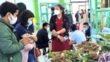 “Quốc bảo” Sâm Ngọc Linh - di sản văn hóa phi vật thể quốc gia