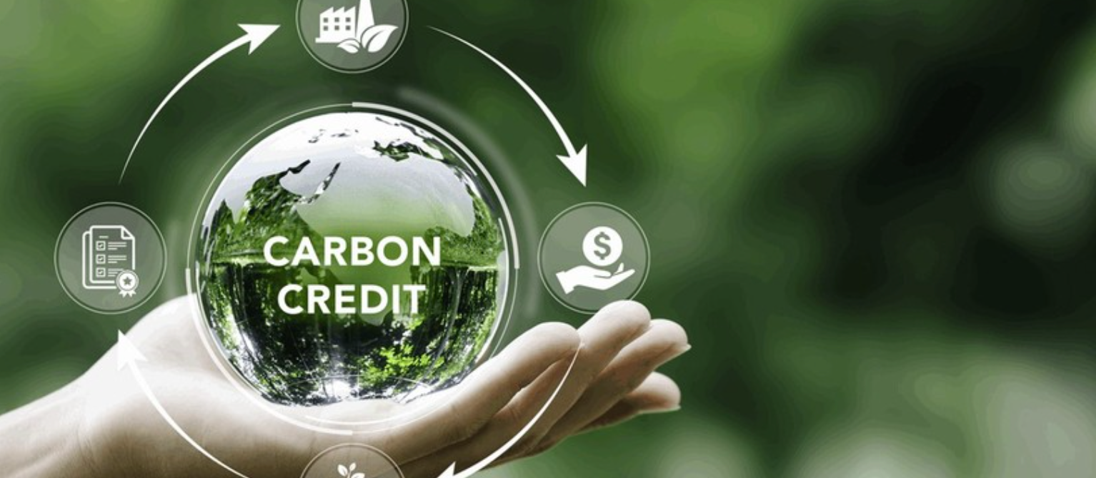 Bao giờ ngân hàng nhận tín chỉ carbon làm tài sản bảo đảm?