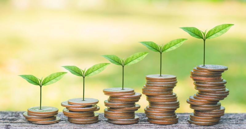 Vietnam's private green investment in 2024 reaches $160 million,