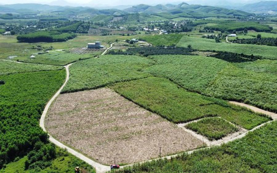 Xây dựng kế hoạch điều tra, đánh giá đất giai đoạn 2026-2030