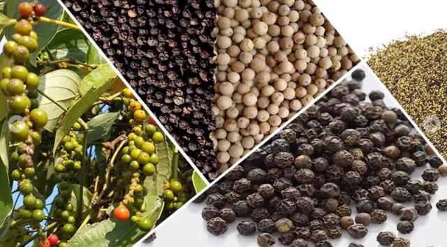 Vietnam's pepper exports earn $510 mln in 4M