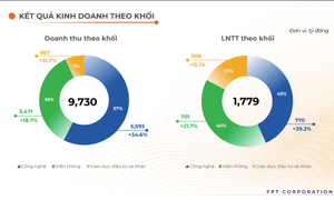 Kết quả kinh doanh theo khối của FPT.