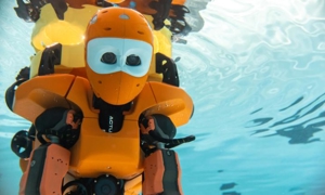 Robot OceanOneK
