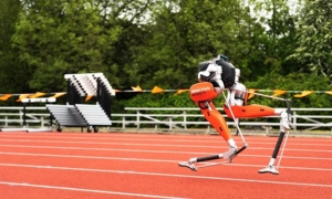 Robot Cassie lập kỷ lục 100 mét vào ngày 11/5/ 2022 tại Corvallis, Oregon. Ảnh: OSU