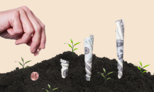 Ảnh minh họa:  Trong bối cảnh gọi vốn khó khăn, các startup có cơ hội để đi chậm lại nhưng tăng trưởng theo cách bền vững hơn.