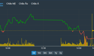 VN-Index lao dốc phiên chiều với đà giảm giá trên diện rộng ở cổ phiếu, không đơn thuần là ép trụ.
