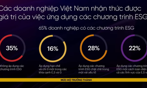 Các doanh nghiệp Việt Nam đã nhận thức được giá trị của việc ứng dụng các chương trình ESG. Nguồn: PWC 2022