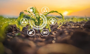 Nông dân Đông Nam Á ứng dụng agritech như thế nào để thúc đẩy sản xuất và giảm tác động đến môi trường