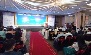 Bà Lê Hoàng Oanh, Cục trưởng Cục TMĐT và kinh tế số, cho rằng mặc dù tăng trưởng nhanh và liên tục, thương mại điện tử Việt Nam vẫn đối mặt với một số hạn chế và tồn tại.