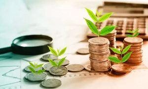Tài chính xanh cung cấp các công cụ tài chính và nguồn lực thiết yếu để thực hiện các mục tiêu liên quan đến bảo vệ môi trường. Ảnh minh họa