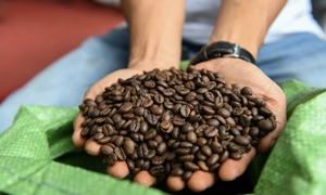 Công nghệ của ProfilePrint thu thập các phân tử từ hạt cà phê và chuyển chúng thành "dấu vân tay kỹ thuật số" chứa thông tin về chất lượng.