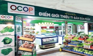 Các sản phẩm OCOP Hà Nội sẽ được mở rộng thị trường tiêu thụ thông qua các kênh thương mại điện tử