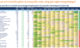 Hiệu suất bay cao, các quỹ cổ phiếu mạnh tay "xuống tiền" trong tháng 5 
