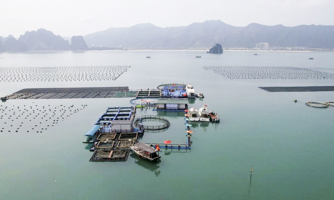 Quảng Ninh thúc đẩy kinh tế thủy sản bền vững    