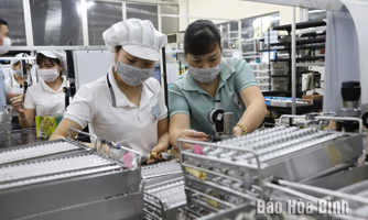 Hoà Bình tạo động lực phát triển mới cho doanh nghiệp vừa và nhỏ