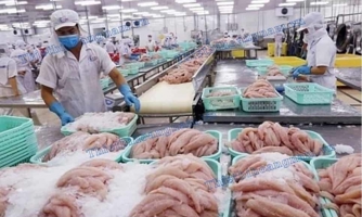 Tám doanh nghiệp cá tra - basa phi lê hưởng thuế chống bán phá giá 0% khi xuất khẩu sang Hoa Kỳ