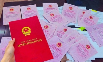 Vụ án Tập đoàn Phúc Sơn: Đề nghị giải tỏa 196 sổ đỏ để khắc phục hậu quả