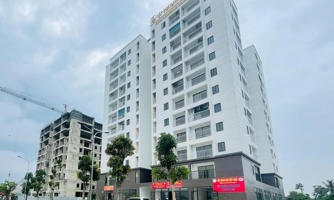 Thanh Hóa đẩy nhanh tiến độ hàng loạt dự án nhà ở xã hội