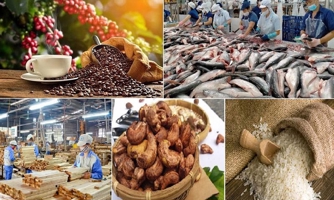 Đẩy mạnh xúc tiến thương mại, mở rộng thị trường xuất khẩu cho các sản phẩm thế mạnh Việt Nam 