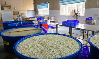 Phát hiện hơn 13 tấn chân gà ngâm hóa chất chuẩn bị tuồn thị trường