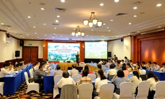 Hoàn thiện khung pháp lý cho thị trường carbon rừng