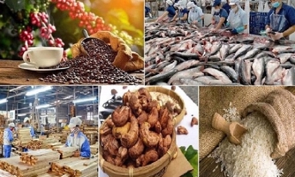 Xuất khẩu nông lâm thuỷ sản 7 tháng tăng trưởng gần 15%, cà phê lập kỷ lục mới