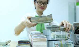 Góc nhìn: Đưa lãi suất huy động USD lên khỏi mặt đất