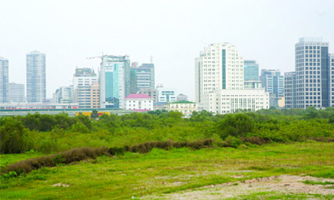 Tỉnh nào “vô địch” về sai phạm đất đai?