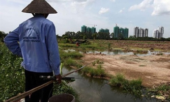 Yêu cầu đẩy mạnh tích tụ đất đai, công khai quỹ đất nông nghiệp