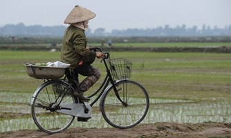 Thí điểm tích tụ đất đai đầu tư nông nghiệp tại Thái Bình và Hà Nam