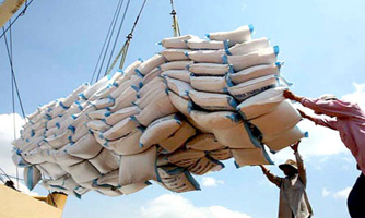 Giá gạo Việt Nam giữ đà tăng nhờ lực mua từ Thái Lan