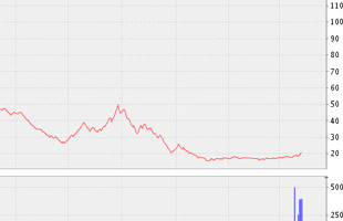 DRC trả cổ tức 19% bằng tiền