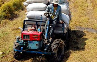 Chính thức công bố gói kích cầu khu vực nông nghiệp, nông thôn