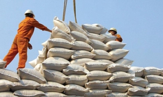 30 năm xuất khẩu gạo và vai trò ổn định thị trường của Chính phủ